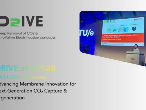 Electrospun BPM presentation by DRIVE project at NPS20