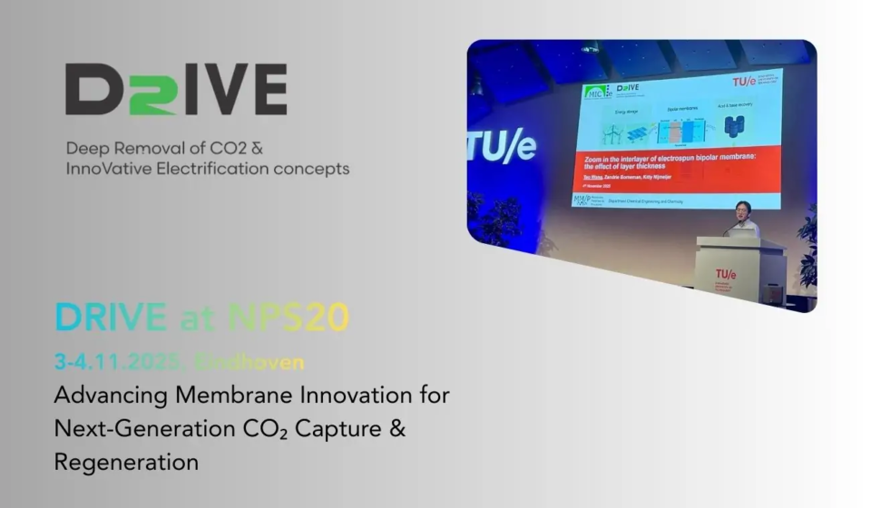 Electrospun BPM presentation by DRIVE project at NPS20