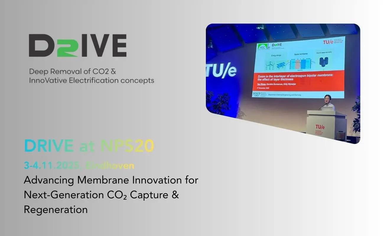 Electrospun BPM presentation by DRIVE project at NPS20